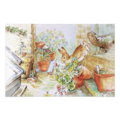 ピーターうさぎが庭の物置で転がる フォトプリント            (正面)