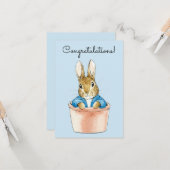 ピーターうさぎ座るポット カード (正面/裏面インサイチュ)