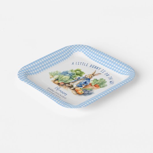 ピーターうさぎ男の赤ちゃんの赤ちゃんシャワー印刷 ペーパープレート (傾斜あり)