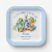 ピーターうさぎ男の赤ちゃんの赤ちゃんシャワー印刷 ペーパープレート (正面)
