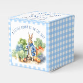 ピーターうさぎ男の赤ちゃんの赤ちゃんシャワー フェイバーボックス (正面サイド)