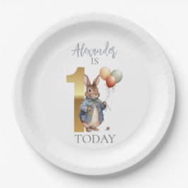 ピーターをパーソナライズウサギの最初の誕生日 ペーパープレート