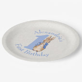 ピーターをパーソナライズウサギの最初の誕生日 ペーパープレート (アングル)