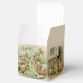 ピーターザラビットガーデン赤ちゃんシャワー フェイバーボックス (オープン)