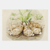 ピーターザラビットガーデン赤ちゃんシャワー ラッピングペーパーシート (正面)