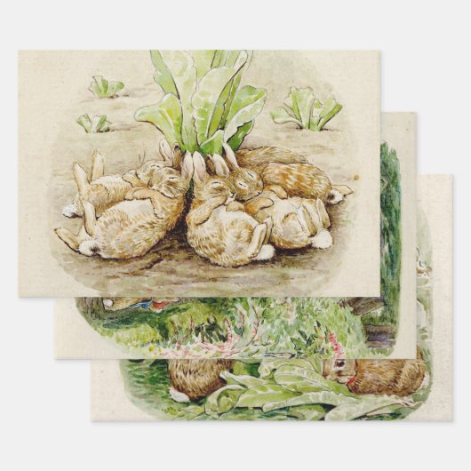 ピーターザラビットガーデン赤ちゃんシャワー ラッピングペーパーシート (セット)