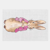 ピーターザラビットピンクジャケットグレーリネン ラッピングペーパーシート (正面)