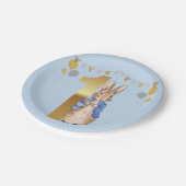 ピーターザラビットファースト誕生日 ペーパープレート (アングル)