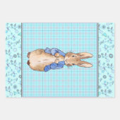 ピーターザラビットラッピング紙 ラッピングペーパーシート (正面3)