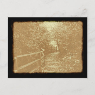 ピーターソンパーク、ノースポート、ミシガン州 – はがき