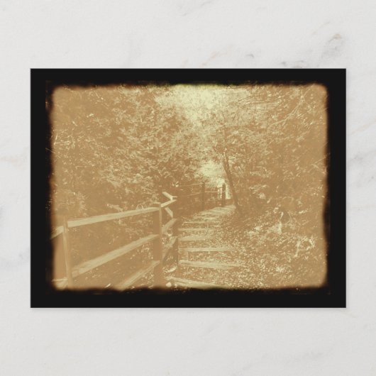 ピーターソンパーク、ノースポート、ミシガン州 – はがき (正面)