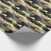 ピーターパンの池 ラッピングペーパー (角)