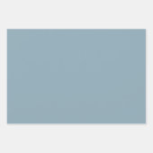 ピーターブルー無地のカラー ラッピングペーパーシート (正面2)