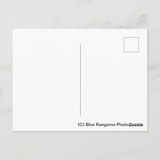 ピーターボローカテドラルスクエア ポストカード (裏面)