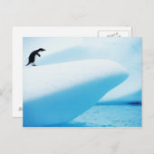 ピーターマン島、南極大陸 ポストカード (正面/裏面)