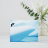 ピーターマン島、南極大陸 ポストカード (スタンド正面)