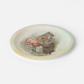 ピーターラビットアンドベニアミンバニー紙プレート ペーパープレート (アングル)