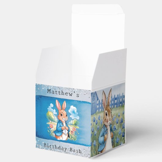 ピーターラビットズガーデンボーイ誕生日バッシュ フェイバーボックス (オープン)