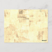 ピーターラビットティッシュペーパー ポストカード (裏面)