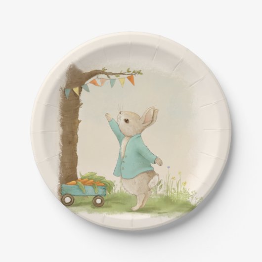 ピーターラビット子供の誕生日&ゲーム ペーパープレート (正面)