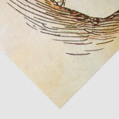 ピーターラビット1ティッシュペーパー 薄葉紙 (詳細)