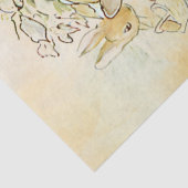 ピーターラビット3ティッシュペーパー 薄葉紙 (詳細)