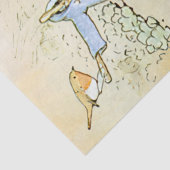 ピーターラビット5ティッシュペーパー 薄葉紙 (詳細)