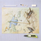 ピーターラビット5ティッシュペーパー 薄葉紙 (クラフト)