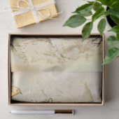 ピーターラビット5ティッシュペーパー 薄葉紙 (ギフト)