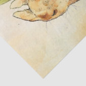 ピーターラビット9ティッシュペーパー 薄葉紙 (詳細)