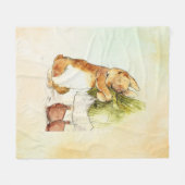 ピーターラビット9 フリースブランケット (正面(横))