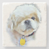 ピーターロッテンテールストーンコースター ストーンコースター (正面)