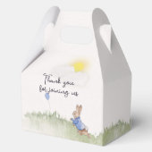 ピーター魅力的・ラビットをテーマにしたパーティー・ボックス フェイバーボックス (裏面)