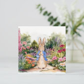 ピーター・ウサギが庭で カード (スタンド正面)