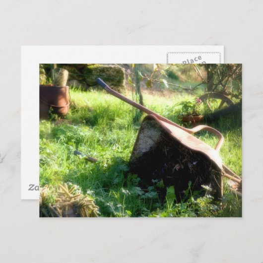 ピーター・ウサギは? ポストカード (正面/裏面)