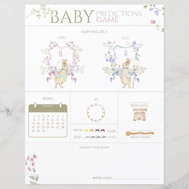 ピーター・ザ・ウサギの赤ちゃんシャワー推理ゲーム (正面)