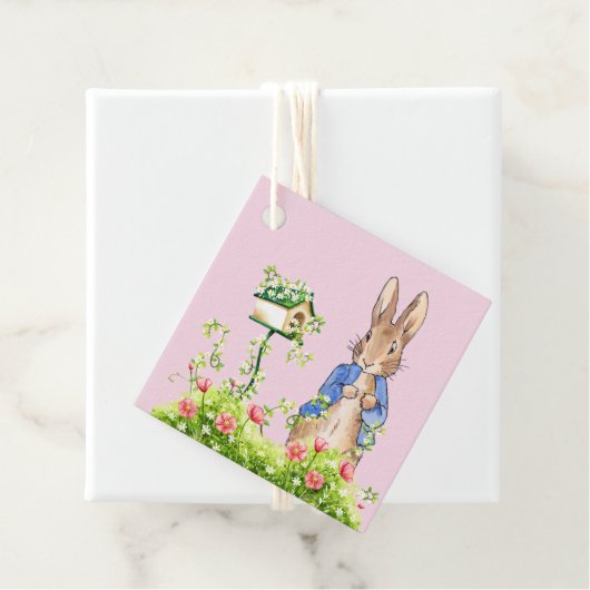 ピーター・ザ・ラビットの庭のピンク フェイバータグ (インサイチュ)