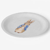 ピーター・ザ・ラビットの灰色のリネンの質感 ペーパープレート (アングル)