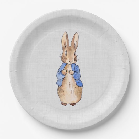 ピーター・ザ・ラビットの灰色のリネンの質感 ペーパープレート (正面)