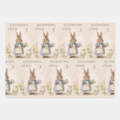 ピーター・ザ・ラビットの誕生日パーティー ラッピングペーパーシート (正面)