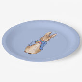 ピーター・ザ・ラビットはバースデーケーキを持っていた ペーパープレート (アングル)