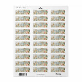 ピーター・ザ・ラビットガーデン ラベル (フルシート)