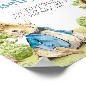 ピーター・ザ・ラビットボーイ彼女の腹のゲーム ポスター (角)