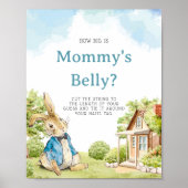 ピーター・ザ・ラビットボーイ彼女の腹のゲーム ポスター (正面)