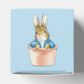 ピーター・ザ・ラビットポット・ホワイト・バブル・ガム フェイバーボックス (上部)