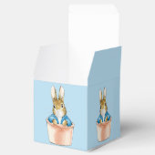 ピーター・ザ・ラビットポット・ホワイト・バブル・ガム フェイバーボックス (オープン)