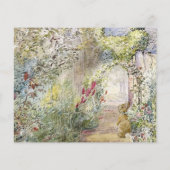 ピーター・ザ・ラビット赤ん坊が知恵の言葉をシャワー (裏面)