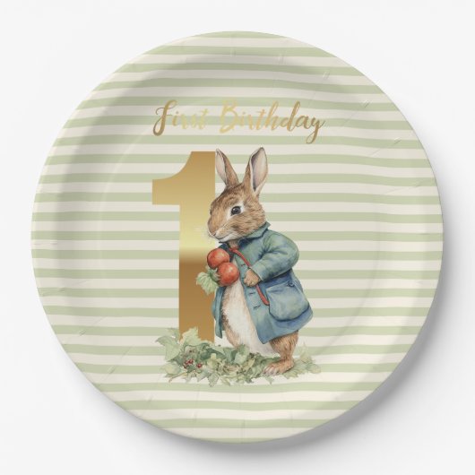 ピーター・ザ・ラビット野菜を摘む最初の誕生日 ペーパープレート (正面)
