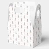 ピーター・ザ・ラビット フェイバーボックス (オープン)