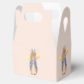 ピーター・ザ・ラビット フェイバーボックス (オープン)